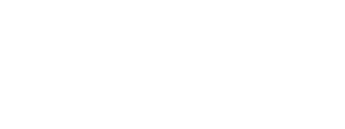 V-serwis